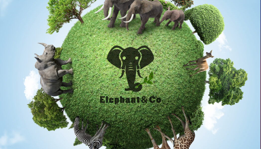 elephant co