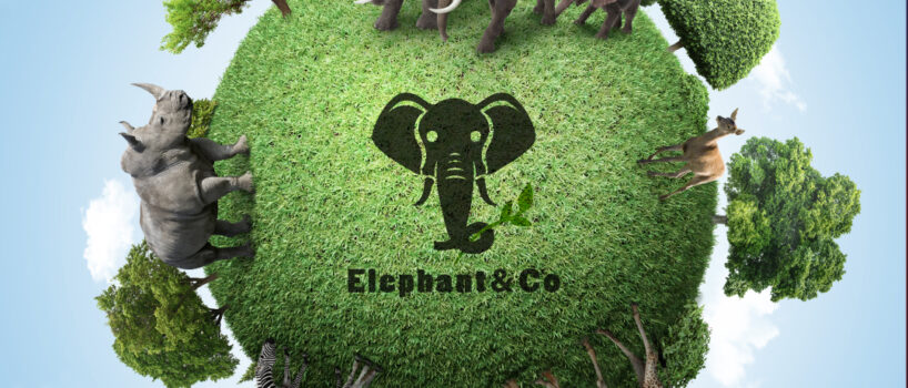 elephant co